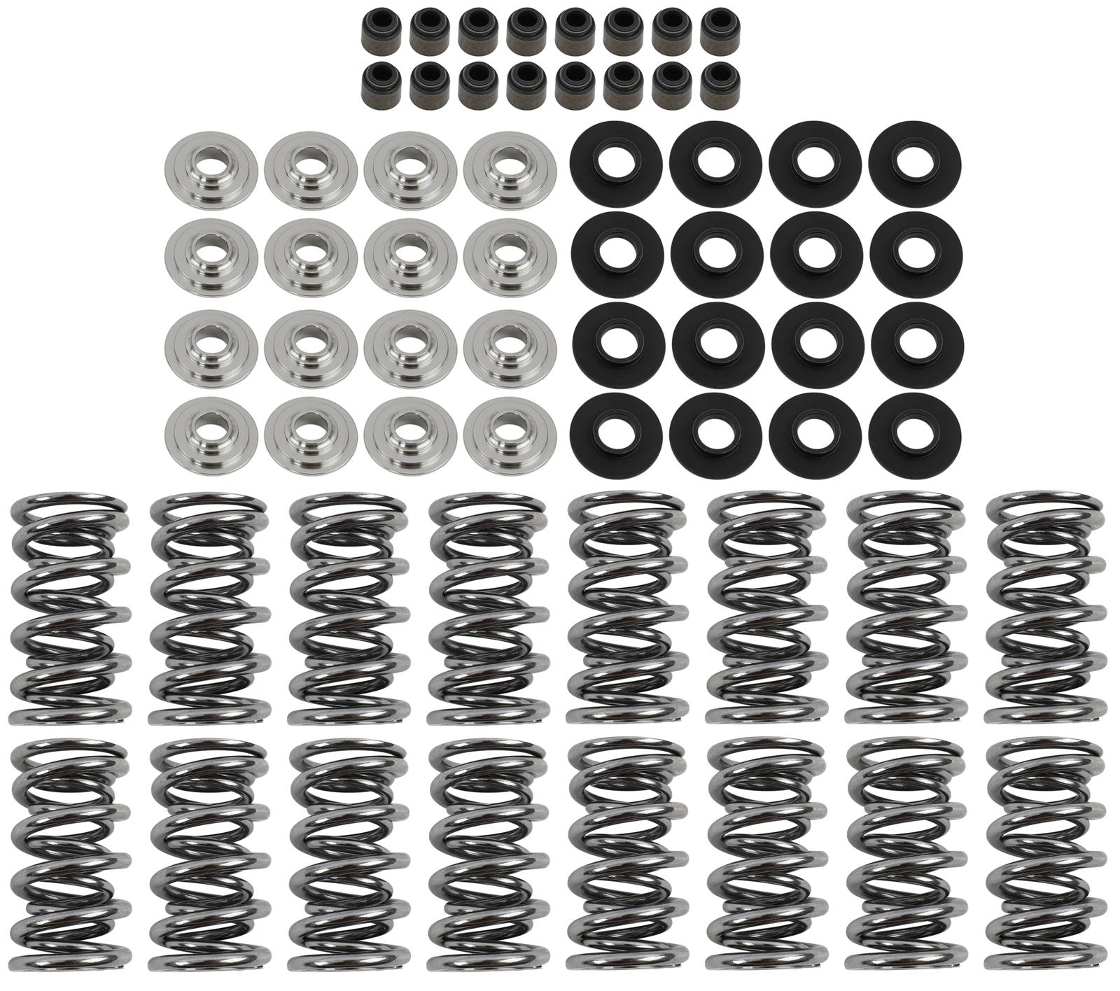Brian Tooley Racing SK001/T/0560/BB BTR Platinum Valve Spring Kits - Zander Auto Parts
