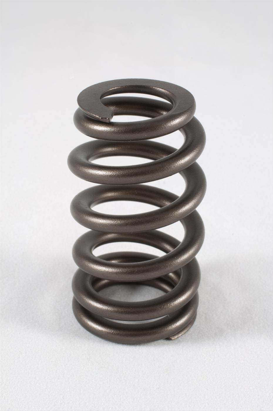 Valve-Springs - Zander Auto Parts