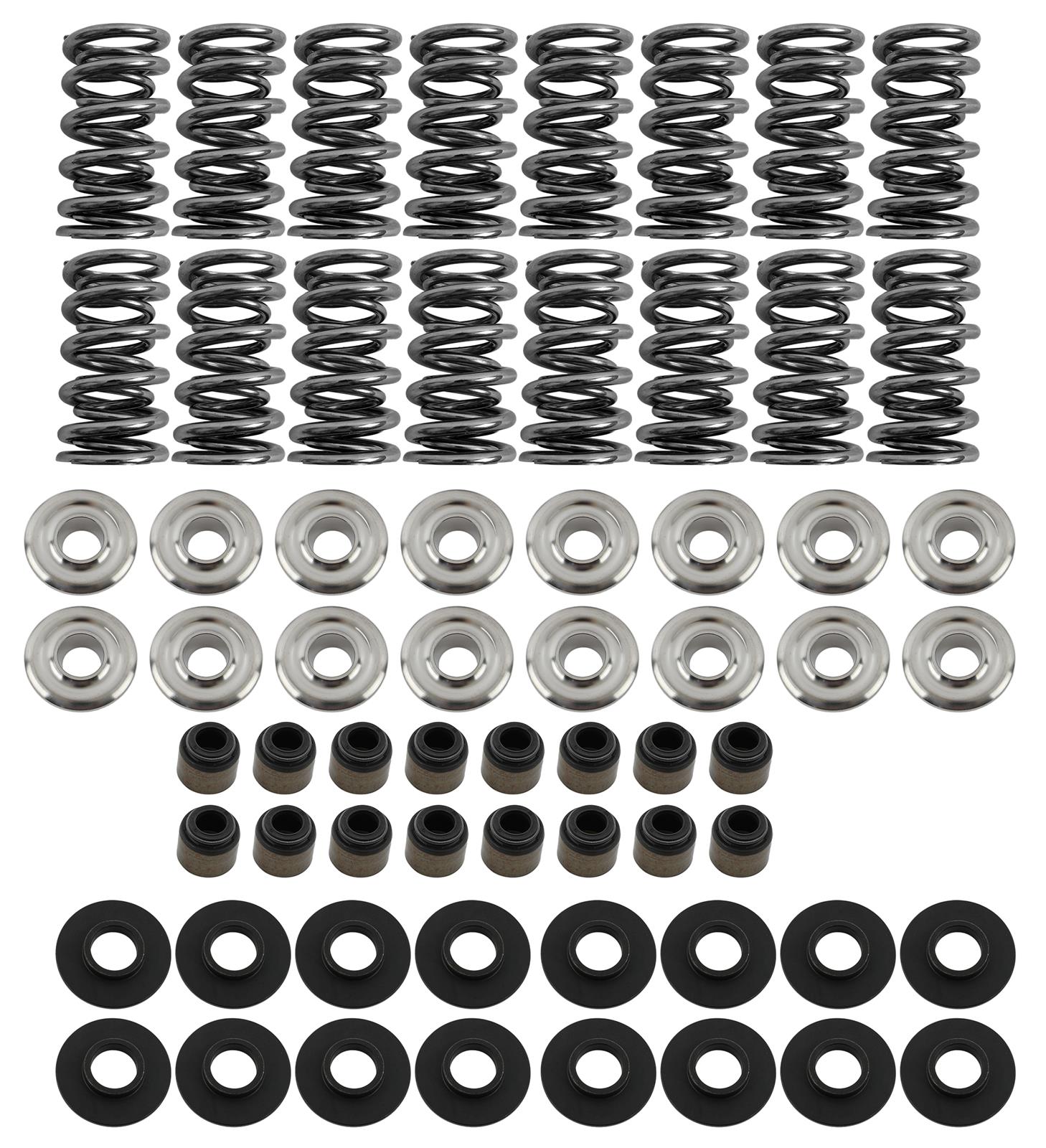 Brian Tooley Racing SK001/S/0560/BB BTR Platinum Valve Spring Kits - Zander Auto Parts