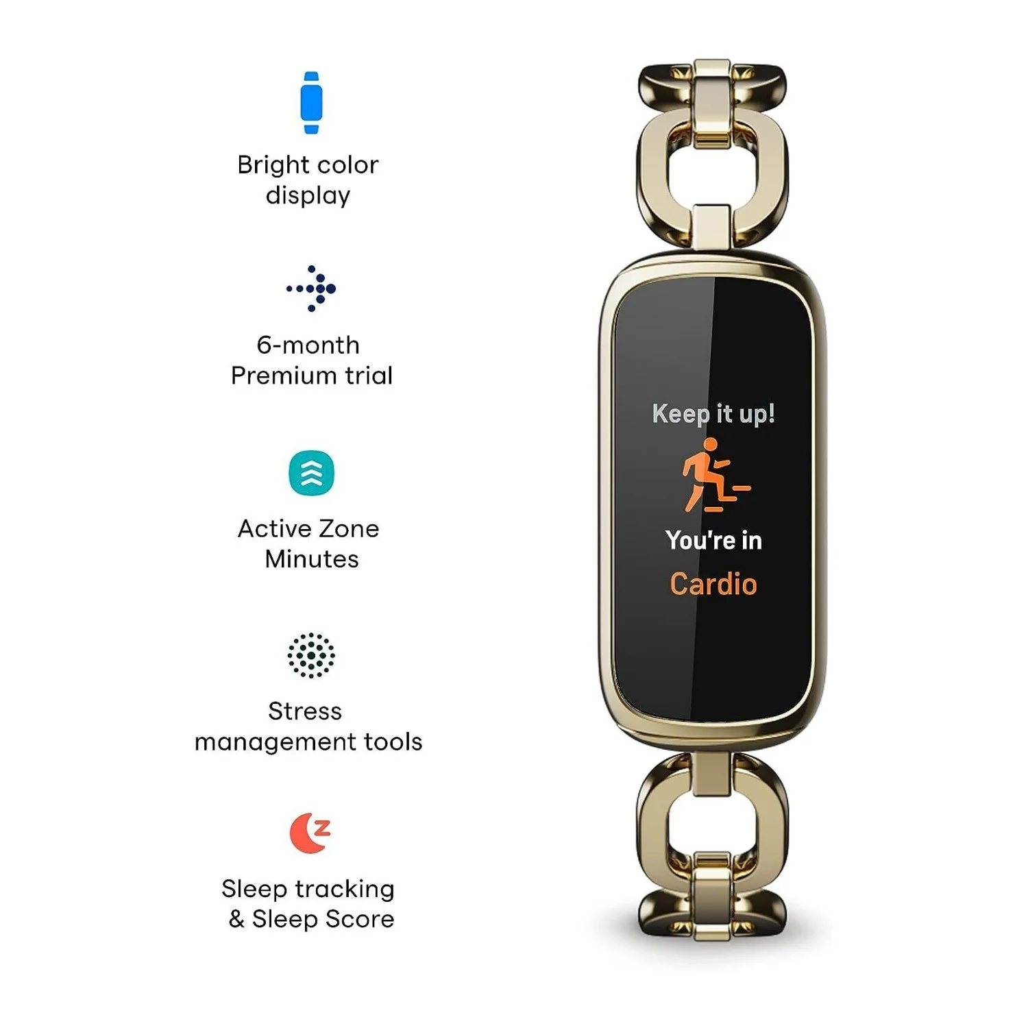 Fitbit Luxe - Gorjana Special Edition - soft gold stainless steel - activity tracker with Parker link bracelet - stainless steel - gold - Bluetooth - Zander Auto Parts