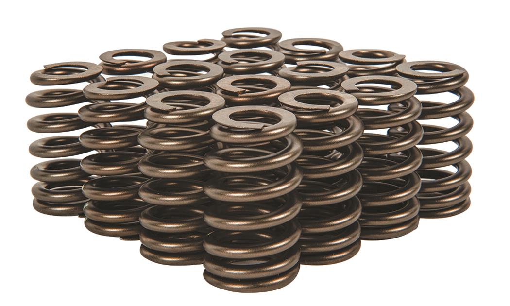 Summit Racing SUM-174002 Summit Racing™ Valve Springs - Zander Auto Parts